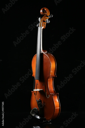 violino photo