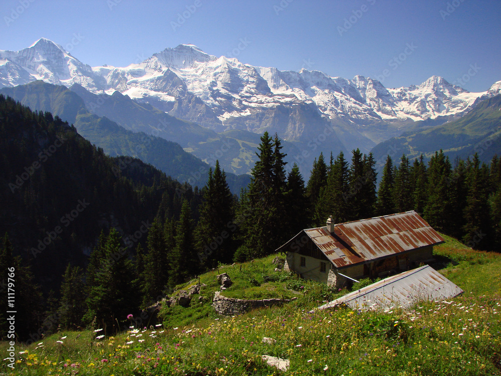 Swiss Scenery
