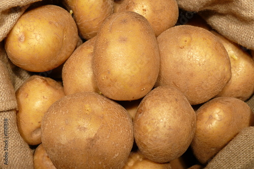 Closeup to potatoes