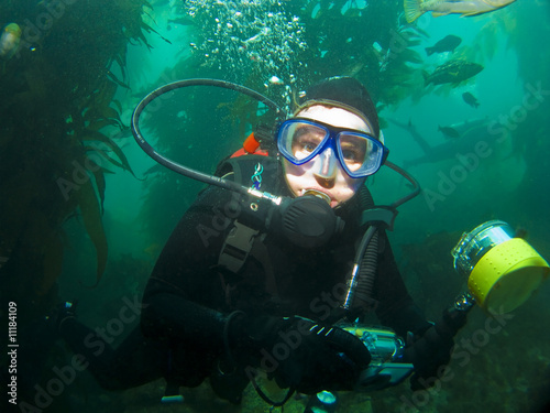 Close Up Diver in the Catalina Kelp © Ocean Image