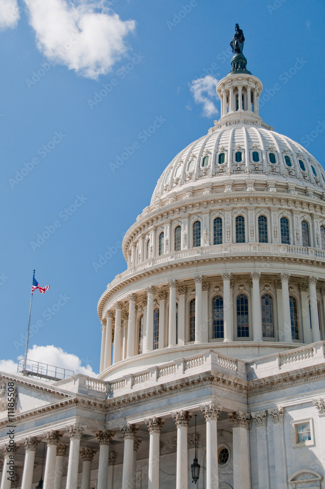 The United States Capitol Building in Washington, DC