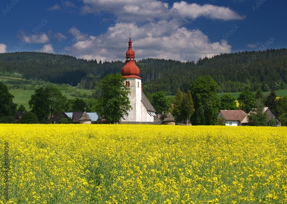 Meadow and old church