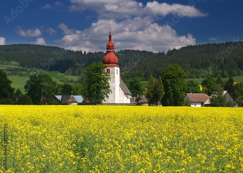 Meadow and old church