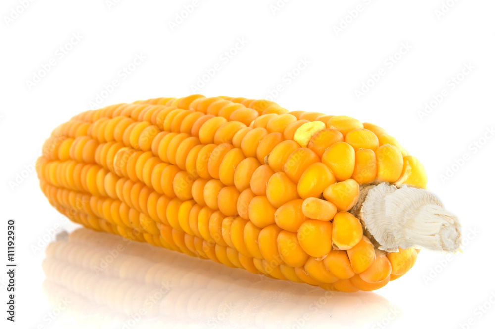 corncob corncob