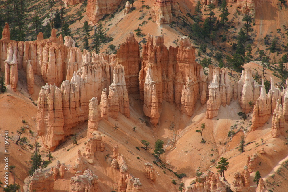Naturlandschaft im Bryce Canyon Nationalpark, Utah - USA Naturlandschaft im Bryce Canyon Nationalpark, Utah - USA