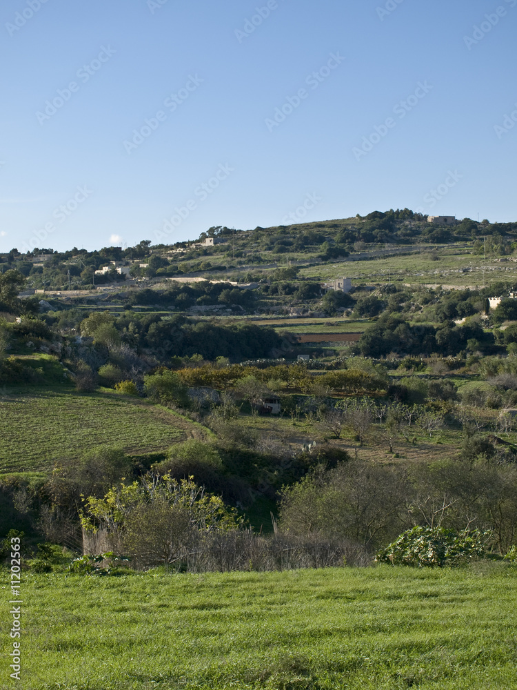 Naklejka premium Malta Valley