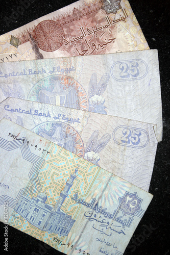 Egyptian Pounds
