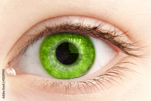 Εκτύπωση καμβά green eye of the person close up