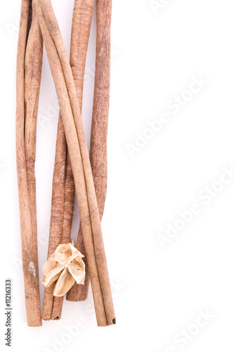 Cinnamon