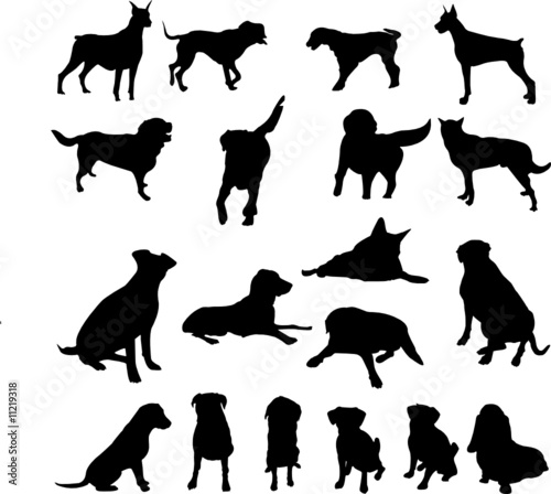 dogs collection - vector
