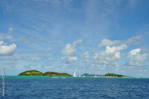 tobago cays, les grenadines photo