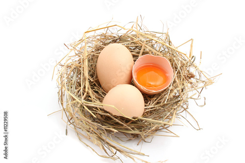 Fotografía eggs