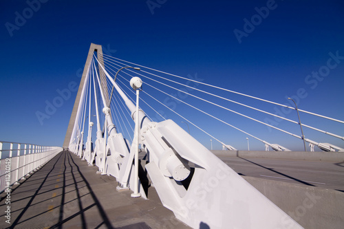 ravenel suspension bridge photo