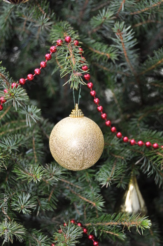 sapin  noel photo