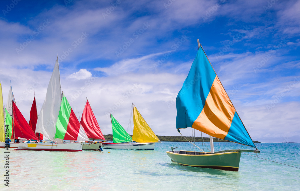 Naklejka premium Regatta