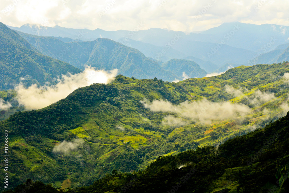 Regenwald in Peru