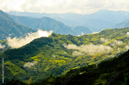 Regenwald in Peru photo