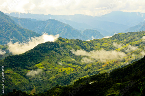 Regenwald in Peru