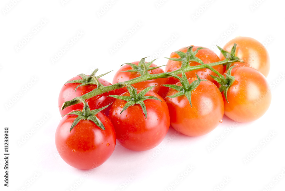 Tomatoes