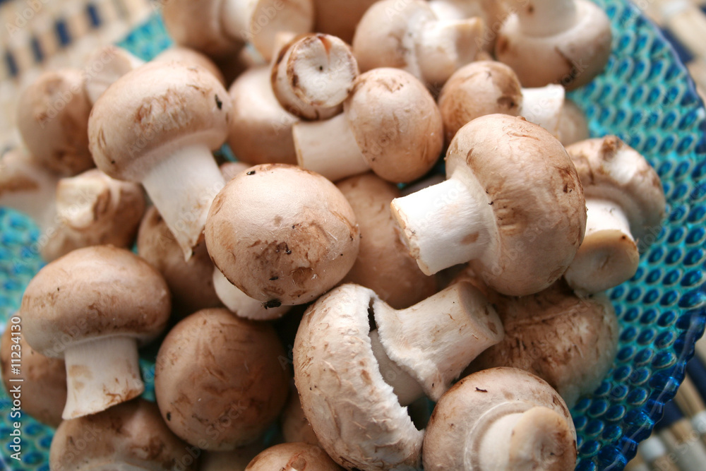 champignons champignons
