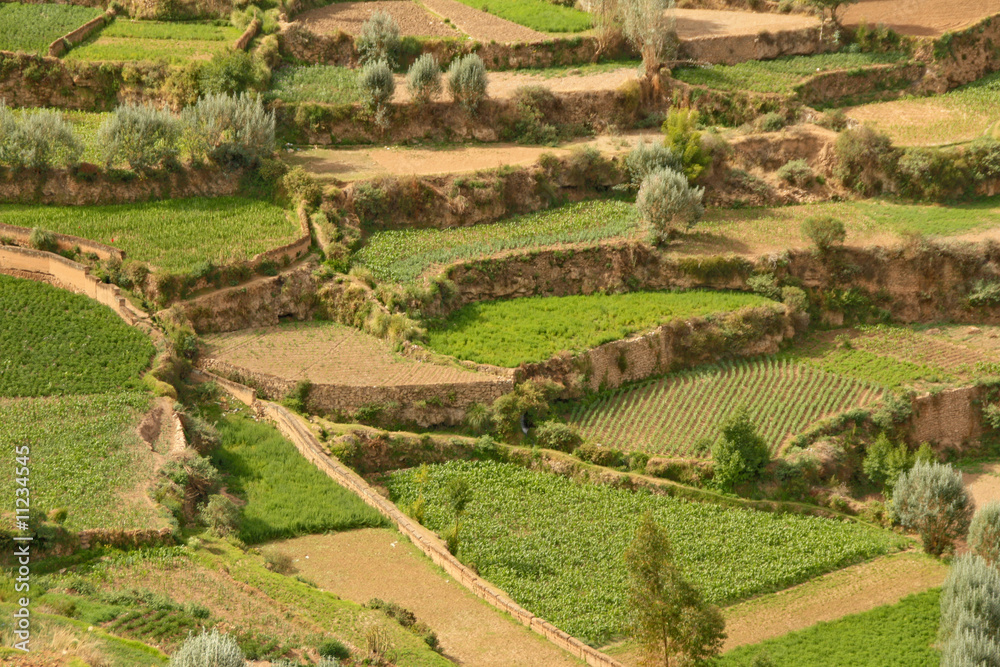Ackerbau auf Terrassen, Peru