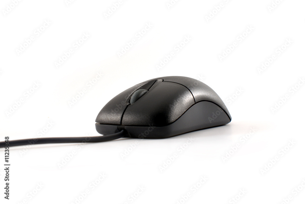 computer mouse