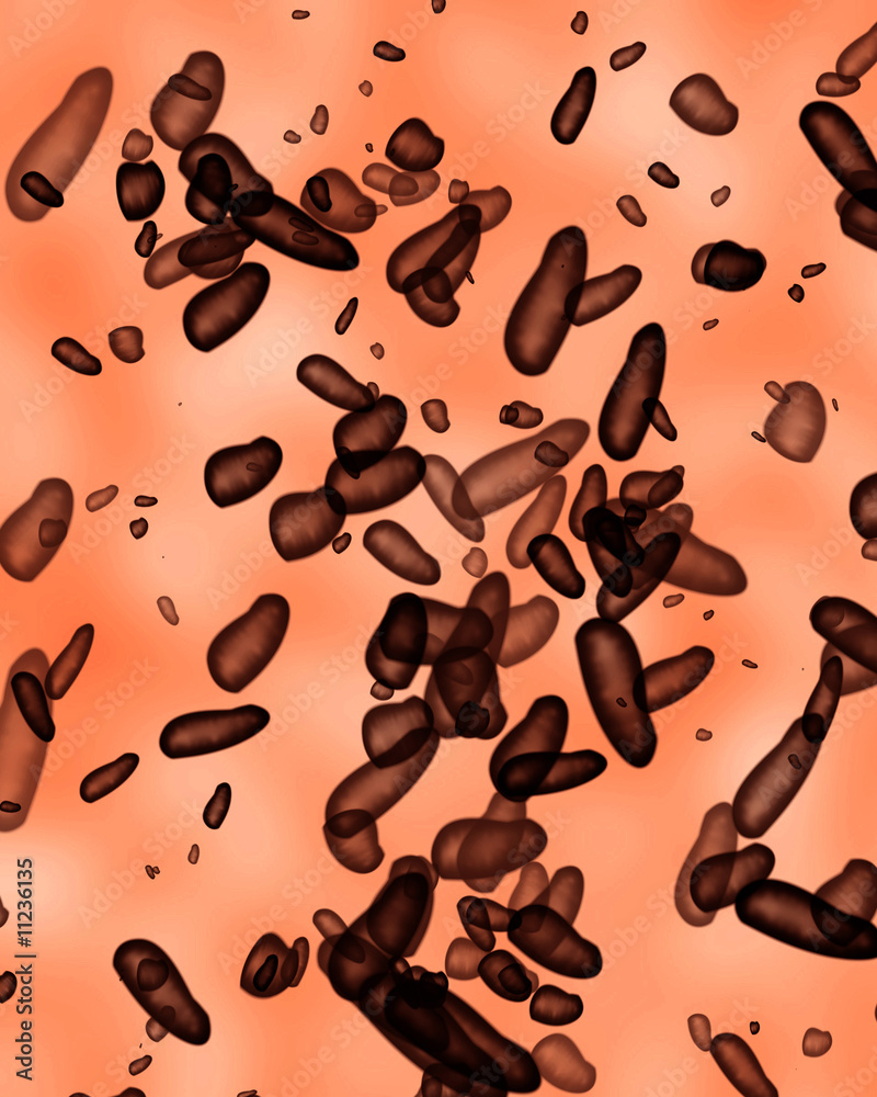Enlarged bacteria illustration