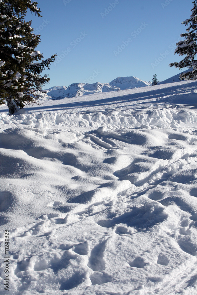 Obraz premium Winterlandschaft Tirol