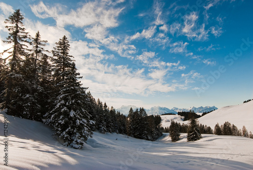 Winter scene above Amden photo