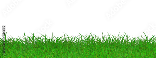Gras - Rasen - Panorama