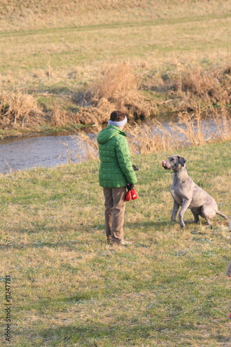 Spaziergang mit Hund, Deutsche Dogge