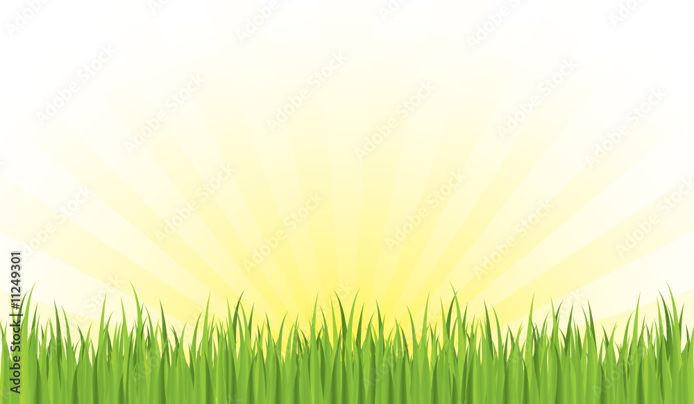 Obraz premium Spring grass with sunrise