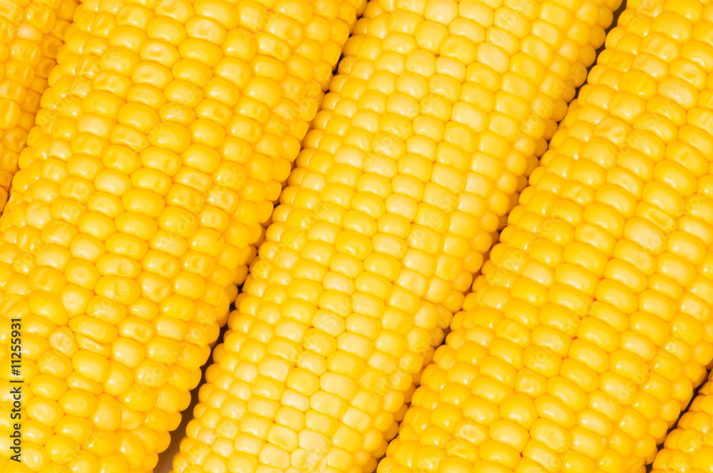 Extreme close up of yellow corn cobs Extreme close up of yellow corn cobs
