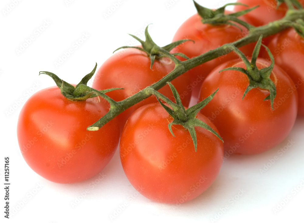 Closeup of branch of cherry tomatoes isolated on white backgroun Closeup of branch of cherry tomatoes isolated on white backgroun