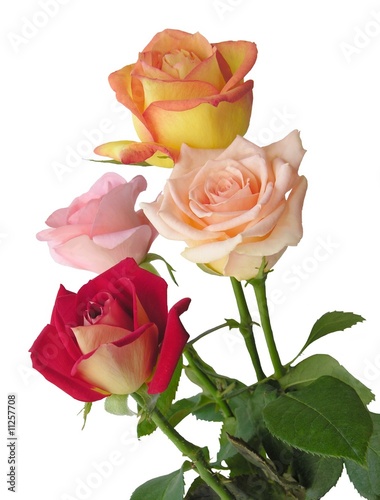 multicolor pretty roses in posy photo