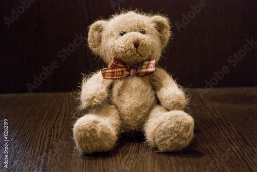 teddy bear