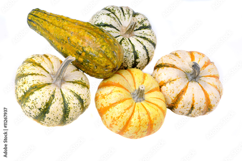 variety of sqush or gourds