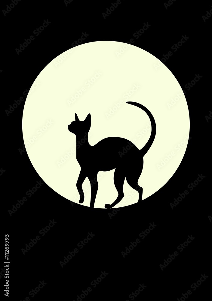 Silhouette of a black cat against the moon