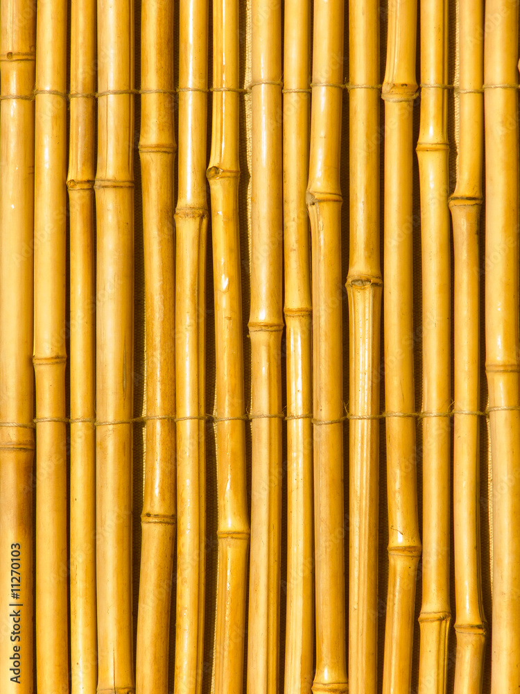 Naklejka premium Dry tree trunks a bamboo