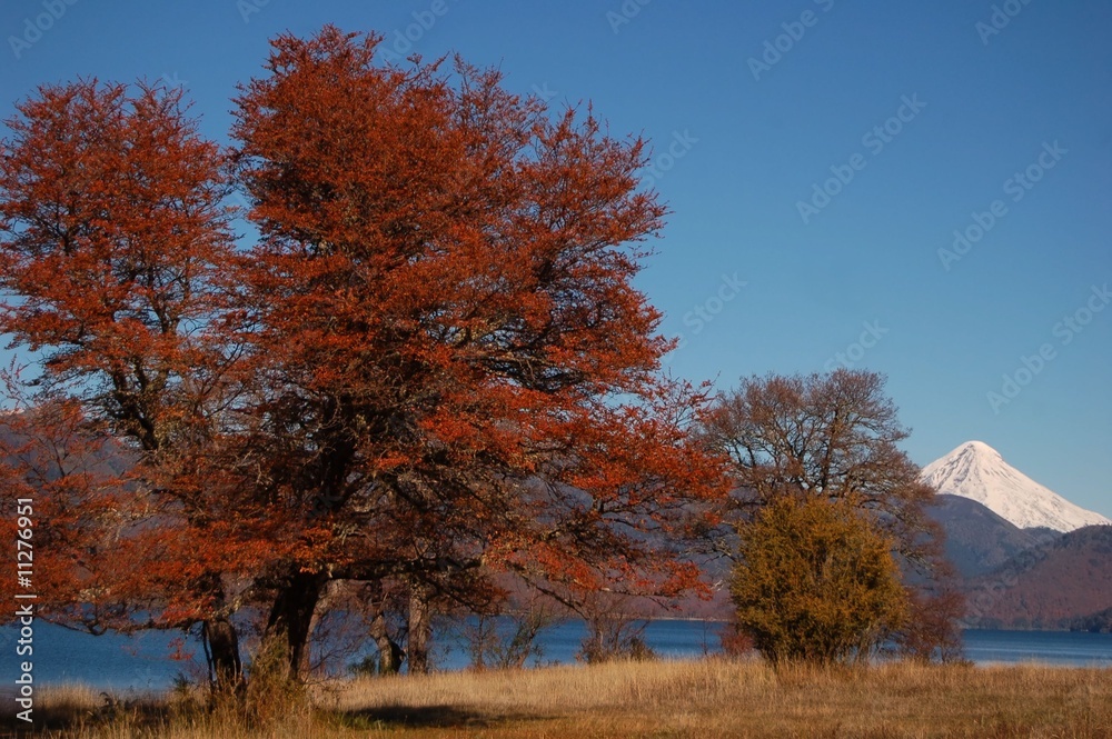 Patagonian Landscape in Autumn
