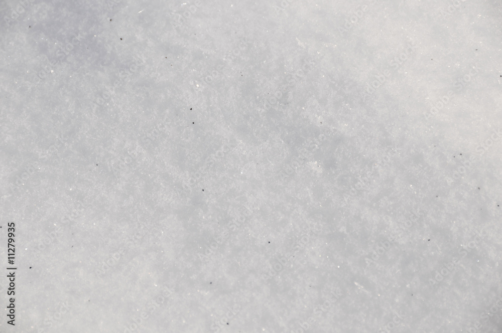 Naklejka premium winter in garden