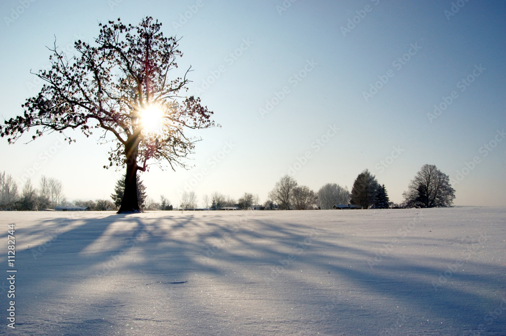 Wintersonne Wintersonne