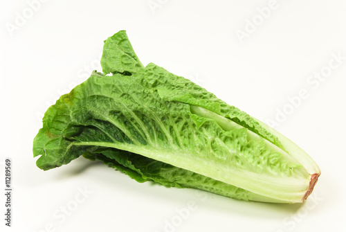 fresh organic baby cos lettuce on white background