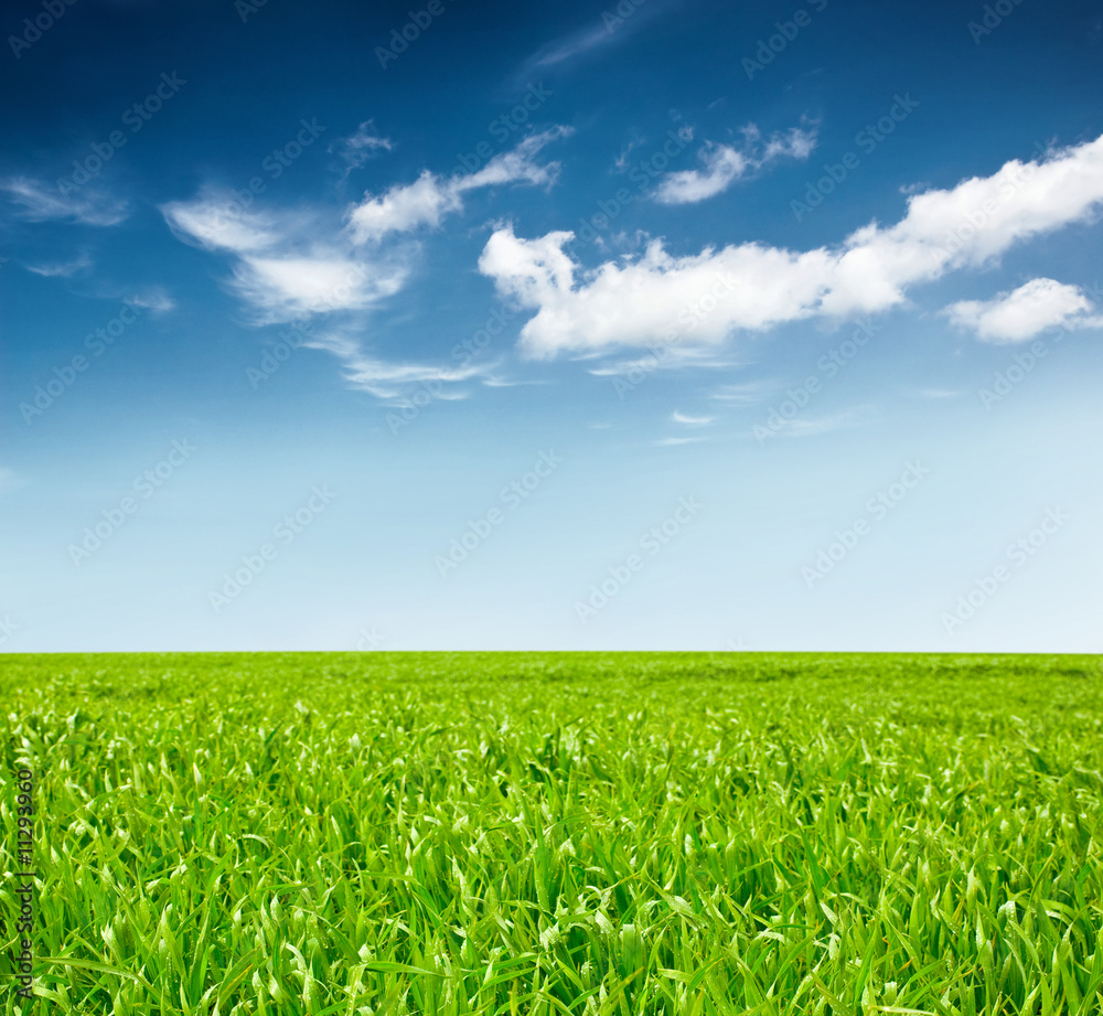 Obraz premium idyllic landscape