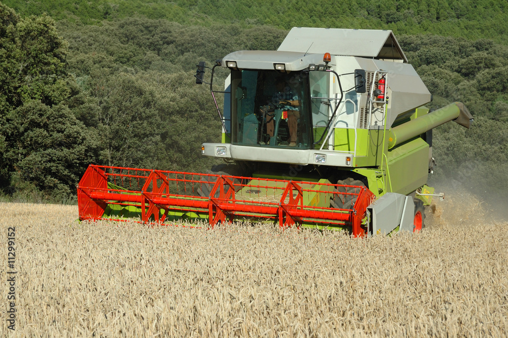 Fototapeta premium cosechadora 3
