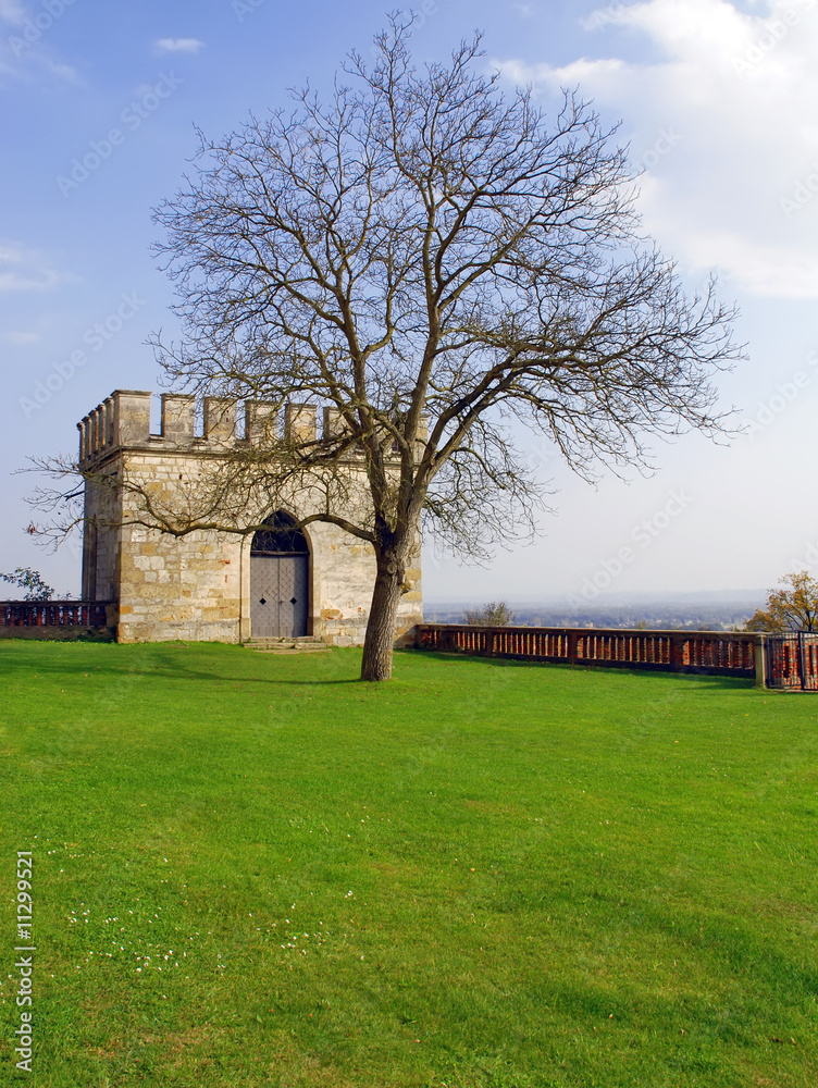 Stone tower and tree at Schloss Seggau - Liebnitz Austria