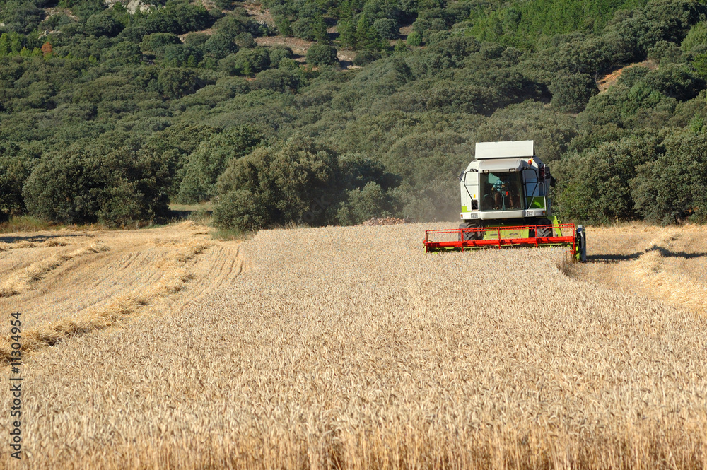 Obraz premium cosechadora 5