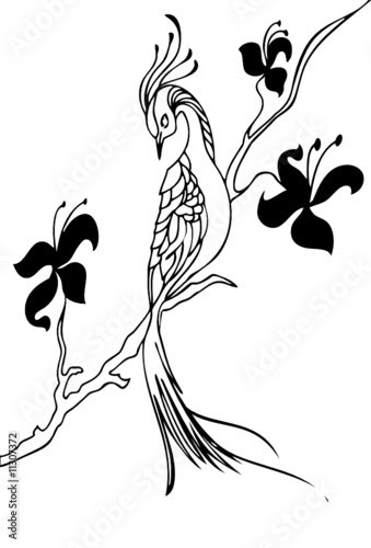 Wunderful exotic bird