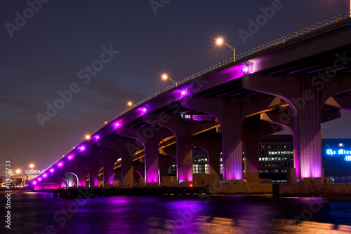 Julia Turtle Causeway