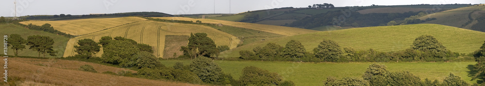 Fototapeta premium devon